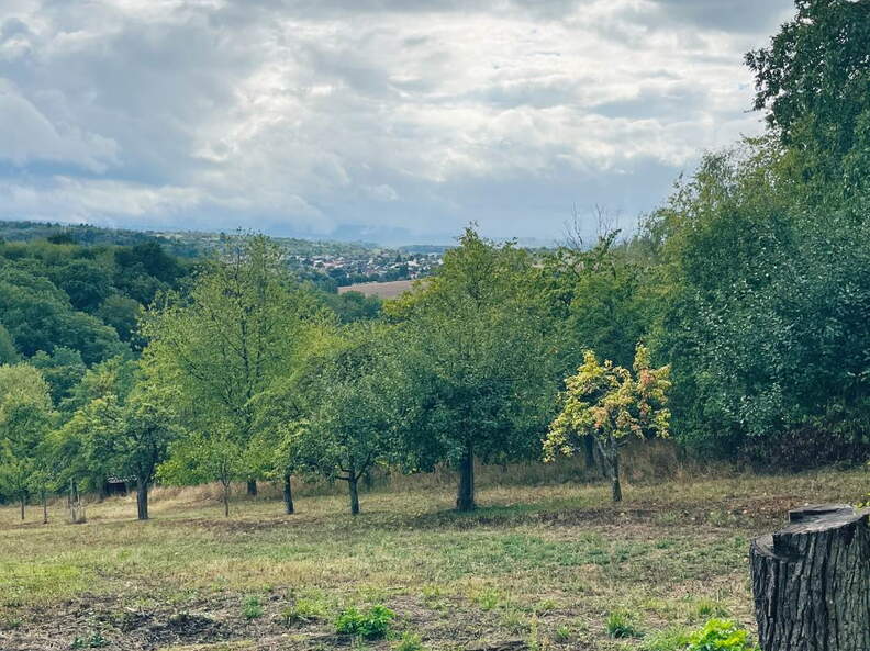 22-09-10 17-12-12 1950